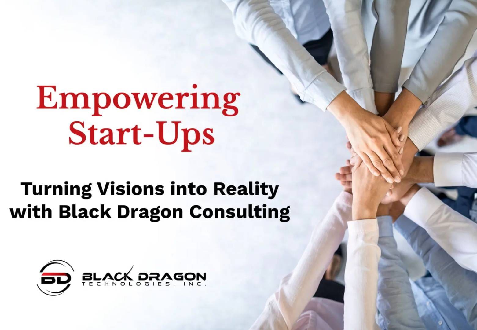 Empowering start ups turning into reality through expert Business Development Services provided by black dragon consulting.